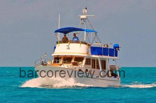 Marine Trader Trawler 36 ficha tecnica 
